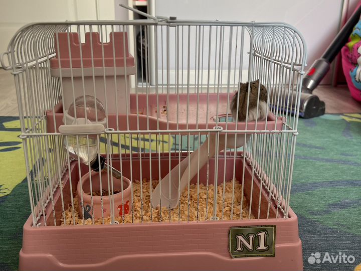 Джунгарик с клеткой