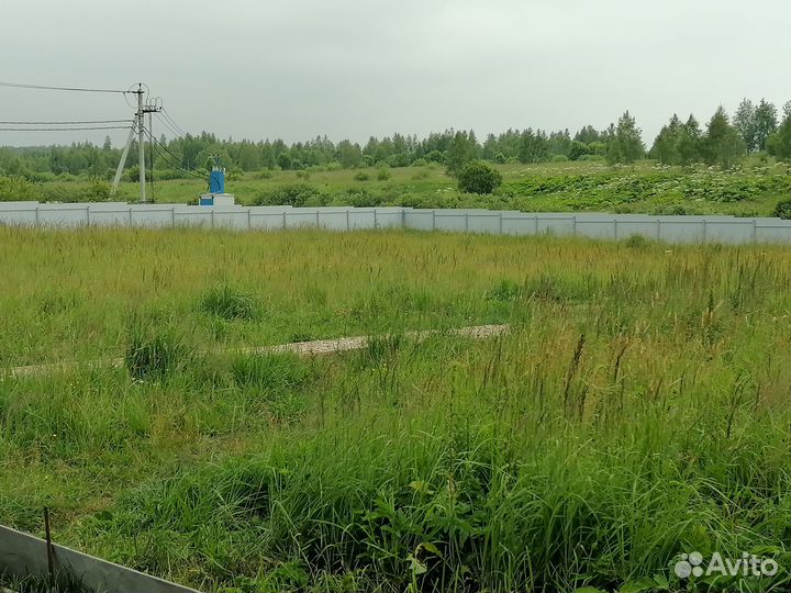 Загородная передержка для собак посуточно/помесячн