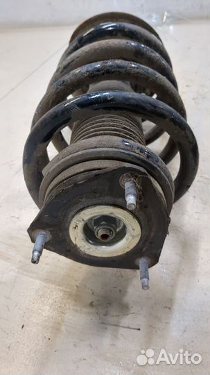 Амортизатор подвески Ford Transit 2014, 2014