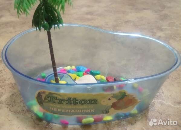 Аквариум черепашник