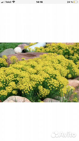 Для альпийских горок