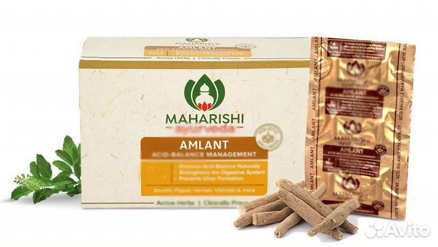 Амлант Махариши Amlant Maharishi