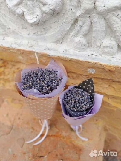 Букет из лаванды, сухоцветы