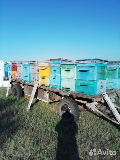 Прицеп пасека, медогонка, домик