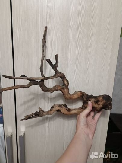 Коряга в аквариум