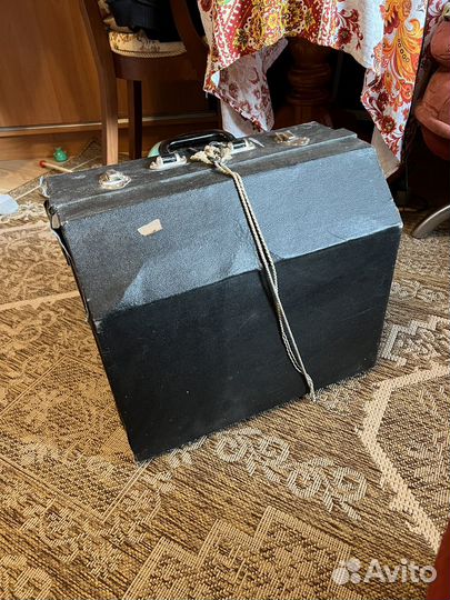 Баян Беларусь