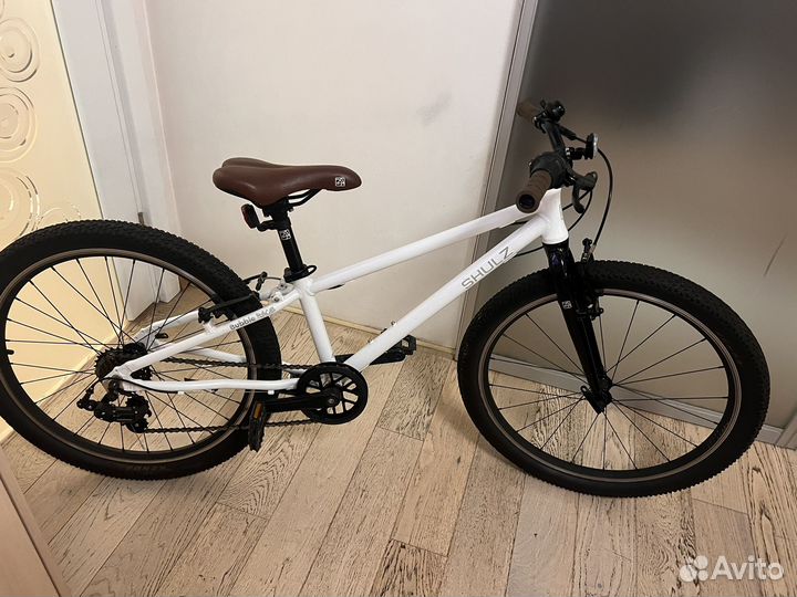 Shulz bubble race 24