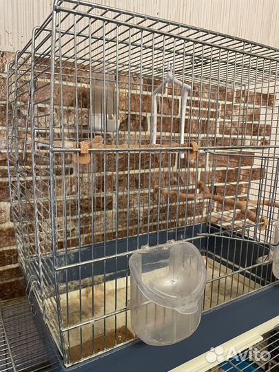 Клетка для птиц iMac