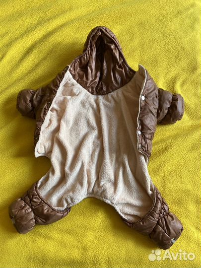 Комбинезон для собаки