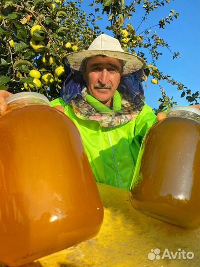 Мед разнотравье 2023 год