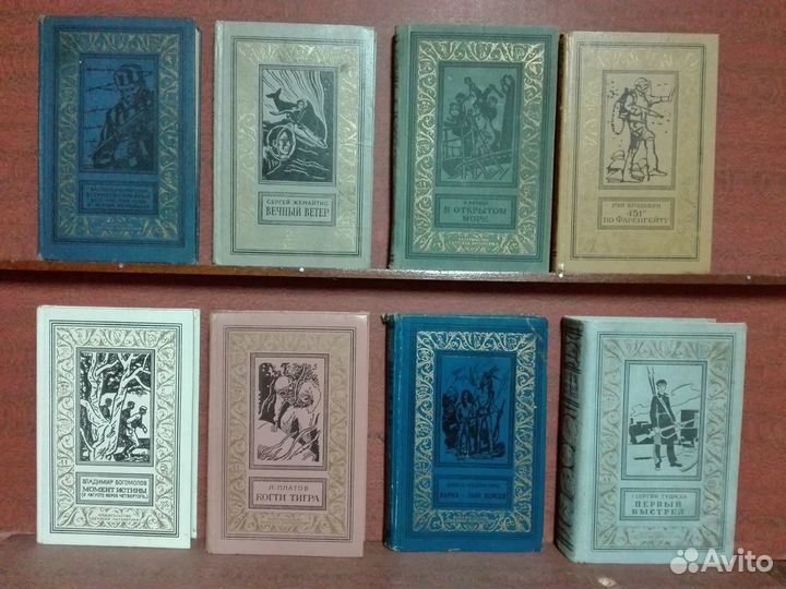 Бпнф рамка 2