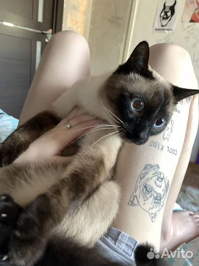 Тайская