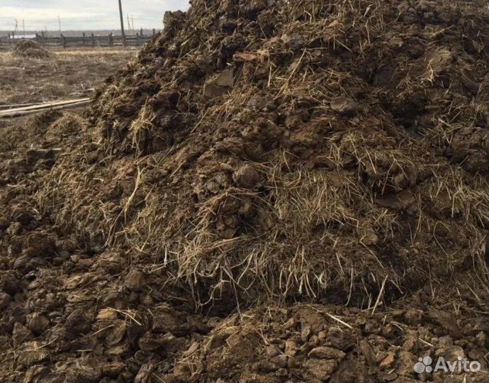 Навоз перегной (конский, коровий)