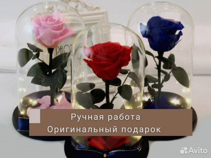 Роза в колбе. Неувядающая