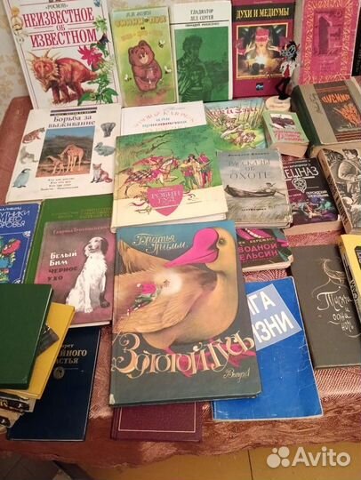 Детская литература