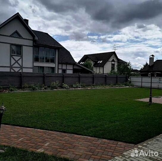 Рулонный газон, посевной газон