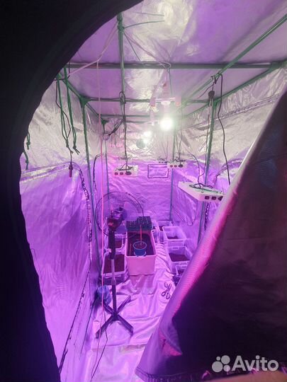 Готовый гроубокс