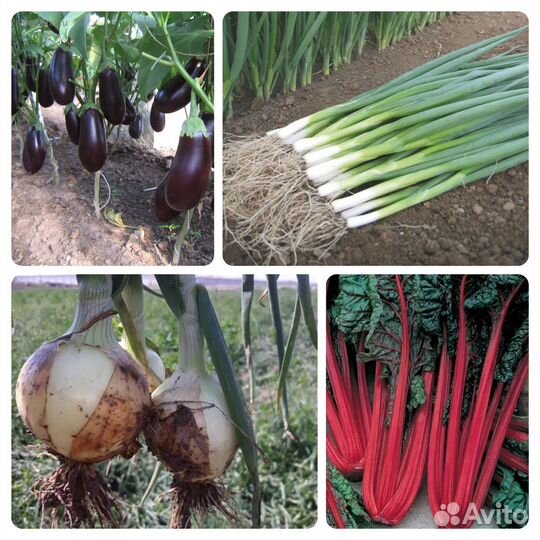 Проф. семена овощей в мелкой фасовке