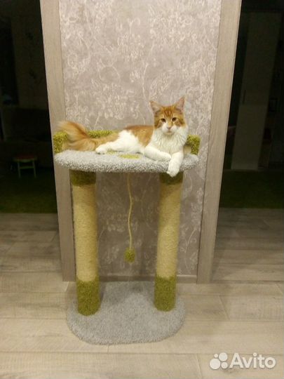 Домики, и когтедралки, туннели, лежачки