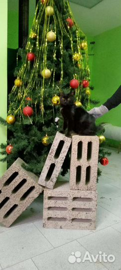 Керамзитобетонный блок Power #3