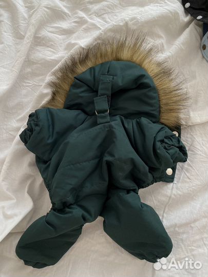 Одежда для маленьких собак