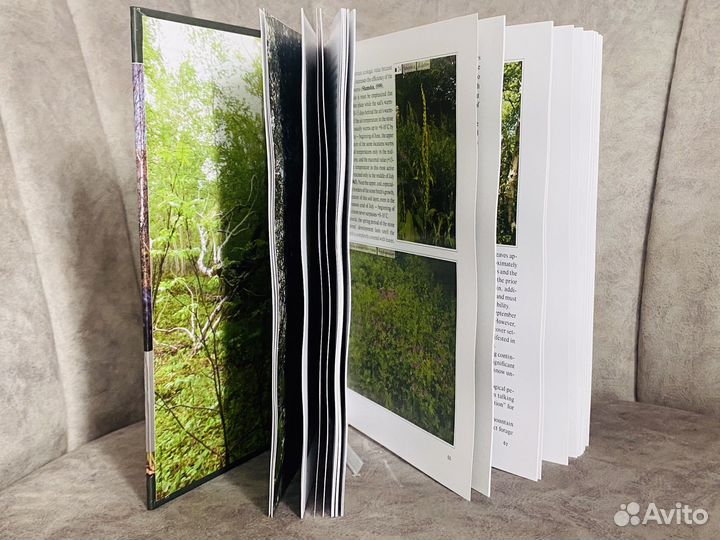 Редкая книга