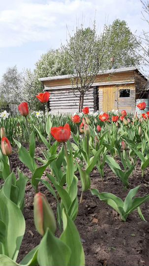 Дом 59 м² на участке 30,7 сот.