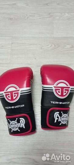 Боксерские перчатки Flamma Terminator 10oz