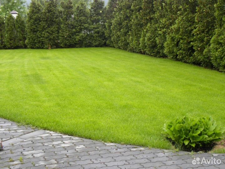 Газон рулонный Стандартный под ключ