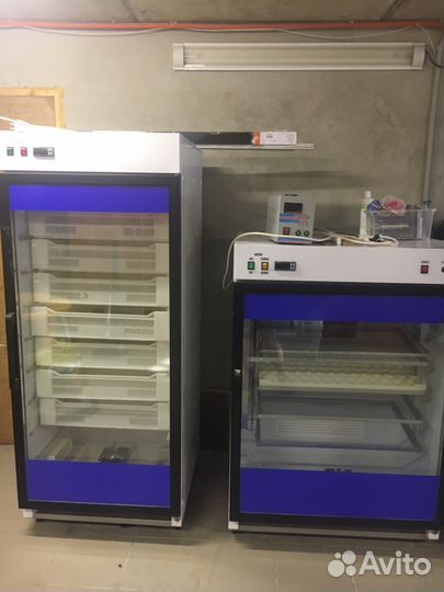 Инкубатор и выводной шкаф, можно отдельно