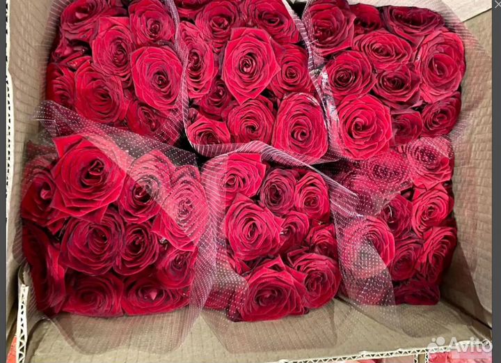 Цветы розы оптом и в розницу. Цена реальная