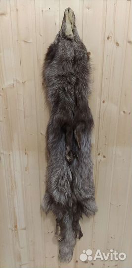 Шкура песца