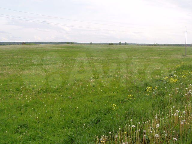 Участок 2,5 га (ИЖС)