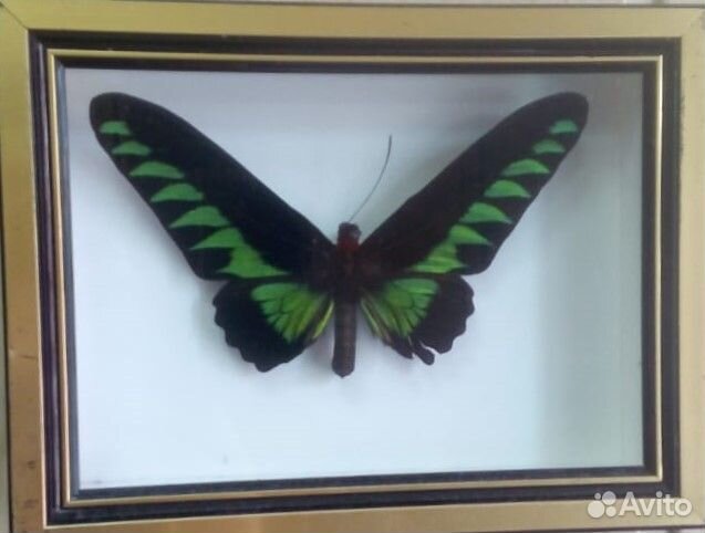 Требуется фасовщик ежедневная оплата