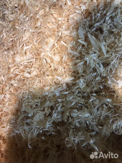 Щепа, опилки, стружка