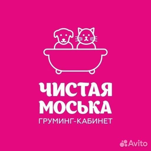 Аренда рабочего места для грумера