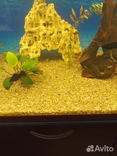 Грунт для аквариума