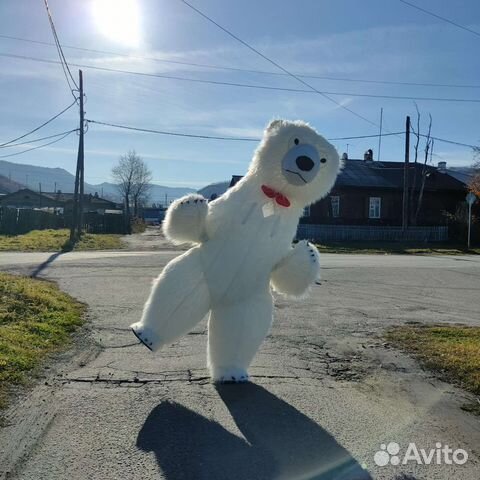 Аниматор медведь