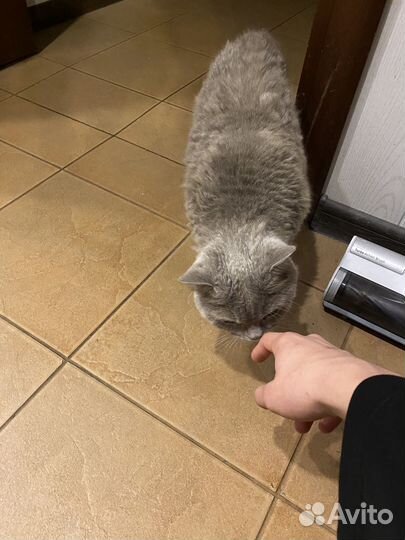 Сделаю google таблицу/отчет/диаграмму