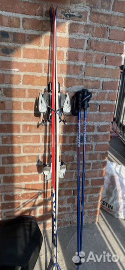 Горные лыжи