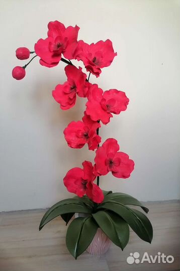 Орхидея для декора