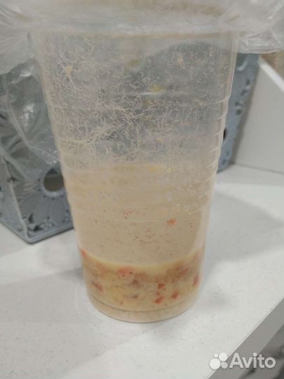 Живые корма: Аулофорус,Нематоды