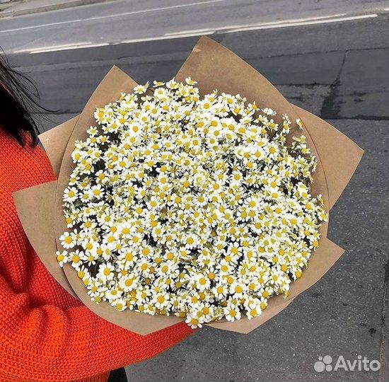 Цветы ромашки