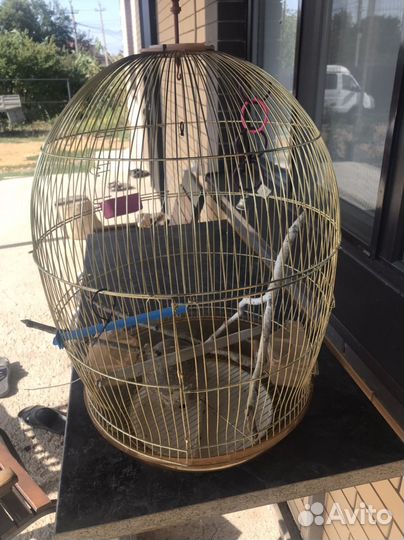 Клетка для попугая