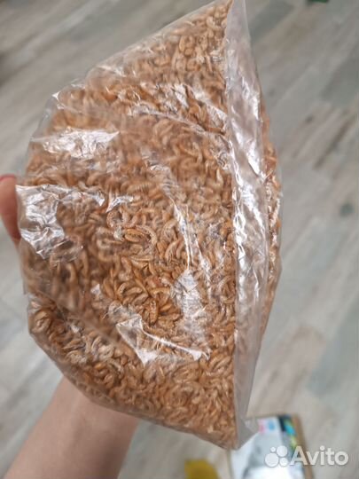 Корм для рыб и черепах - гаммарус