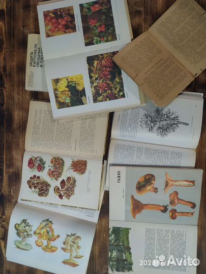 Книги про грибы и ягоды 1940-1990 годы