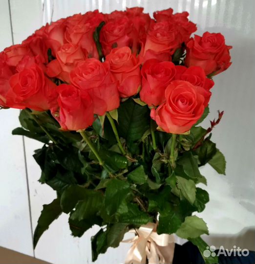 Букет цветов. Розы