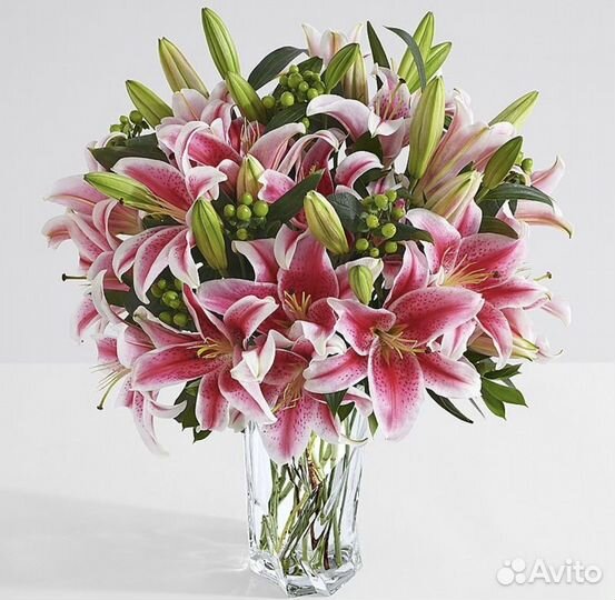 Крупные ароматные Лилии