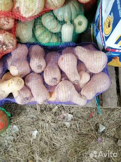 Овощи для животных