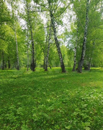 Участок 8 сот. (ИЖС)